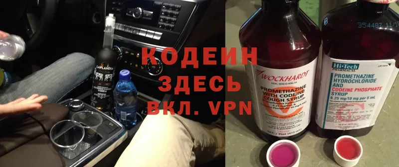 сколько стоит  Анива  Кодеин Purple Drank 