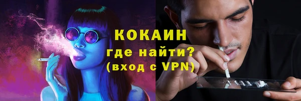 кокс Анива