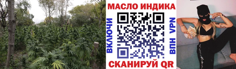 где продают   Анива  ТГК гашишное масло 