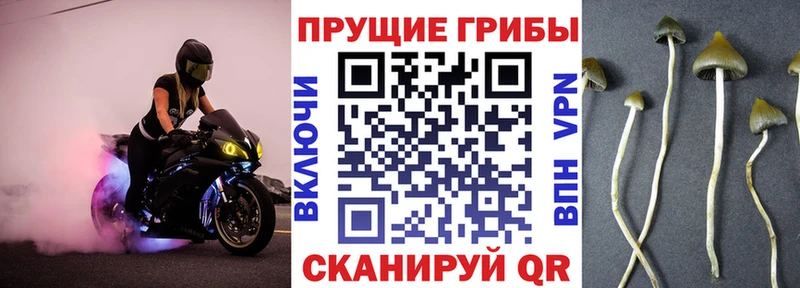 Галлюциногенные грибы мицелий  Анива 